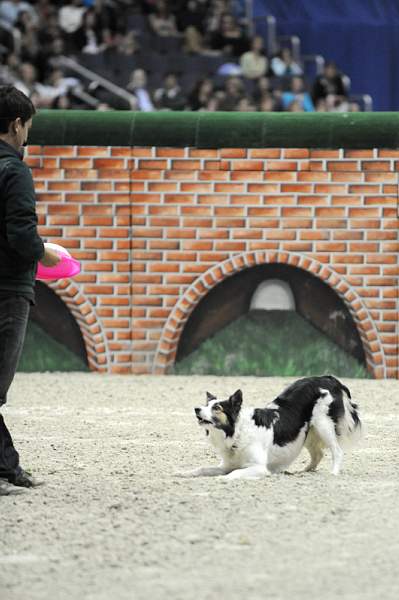 WIHS-10-23-09-DER_7571-ZakGeorge-DDeRosaPhoto.jpg