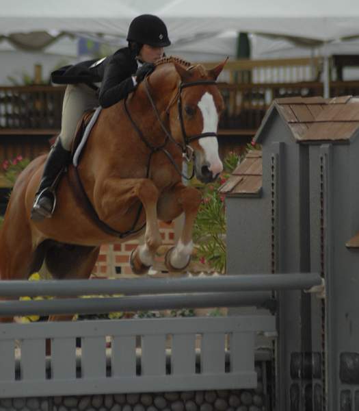 JessicaSpringsteen-Tiziano-621-WEF-3-30-08-DeRosaPhoto.jpg