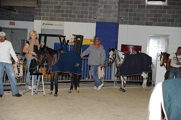 WIHS-10-24-10-DSC_8929-AroundGrounds-Indoors-DDeRosaPhoto.jpg