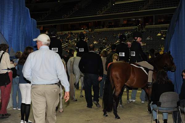 WIHS-10-24-10-DSC_9150-AroundGrounds-Indoors-DDeRosaPhoto.jpg