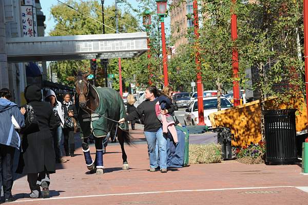 WIHS-10-19-09-422-DDeRosaPhoto.jpg