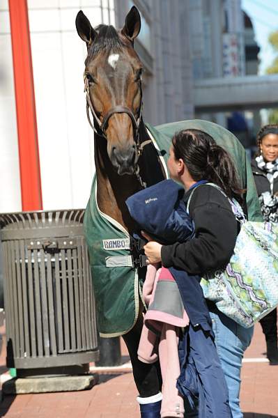 WIHS-10-19-09-424-DDeRosaPhoto.jpg