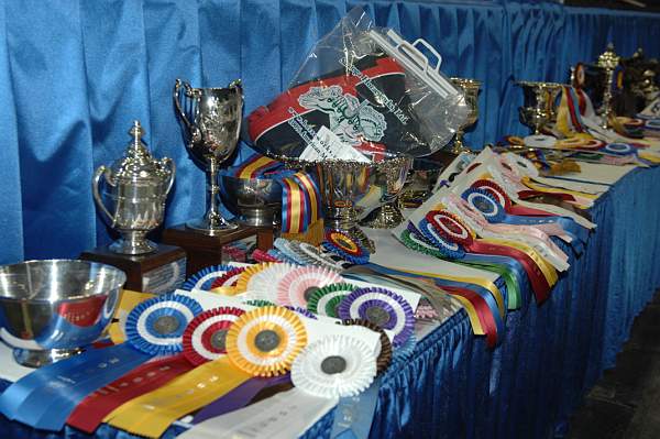 DSC_0009-DDeRosaPhoto.jpg