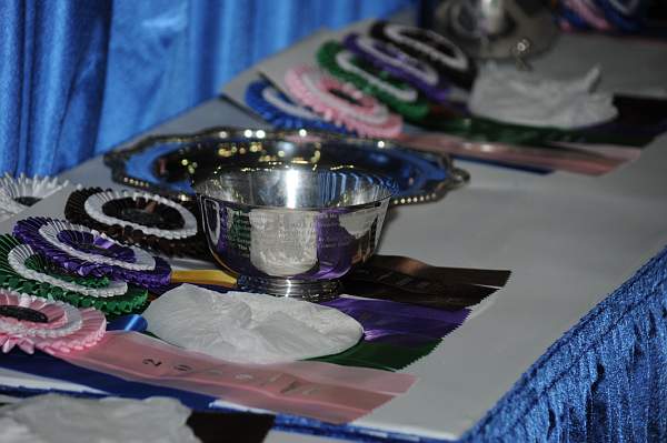 DSC_9202-DDeRosaPhoto.jpg