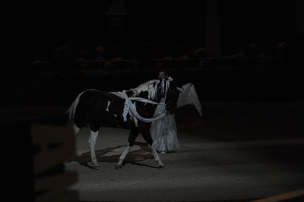 DSC_6592-DDeRosaPhoto.JPG