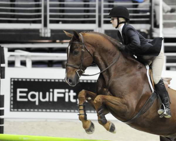 WIHS-10-24-09-DSC_0287-Sponsors-EquiFit-DDeRosaPhoto.jpg