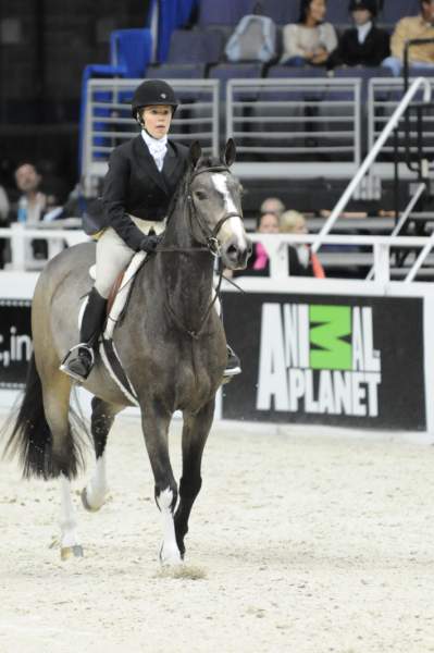 WIHS-10-20-09-DSC_0669-WizardOfOz-MadelynWojdak-Sponsors-AnimalPlanet-DDeRosaPhoto.jpg