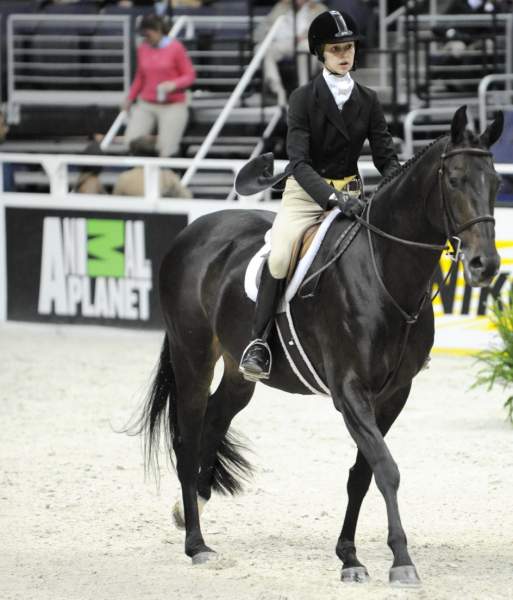 WIHS-10-20-09-DSC_0728-Sponsors-AnimalPlanet-DDeRosaPhoto.jpg