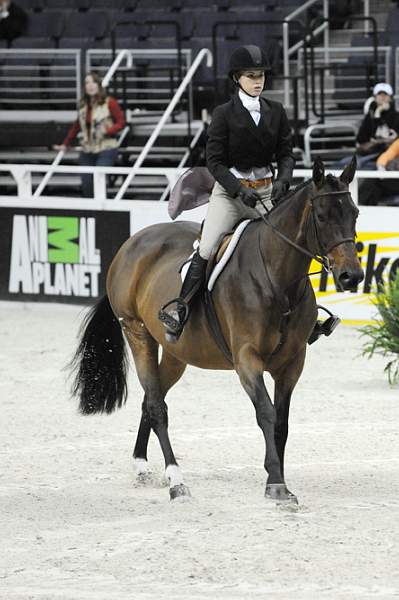 WIHS-10-20-09-DSC_0951-SouthernComfort-AnnaDuff-Sponsors-AnimalPlanet-DDeRosaPhoto.jpg