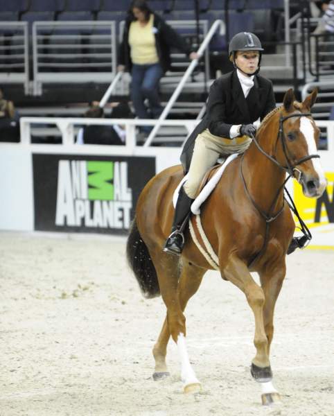 WIHS-10-20-09-DSC_1147-Luvbug-PattiSchindler-Sponsors-AnimalPlanet-DDeRosaPhoto.jpg