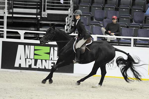 WIHS-10-21-09-DSC_2272-Zoom-LauraSexton-Sponsors-AnimalPlanet-DDeRosaPhoto.jpg