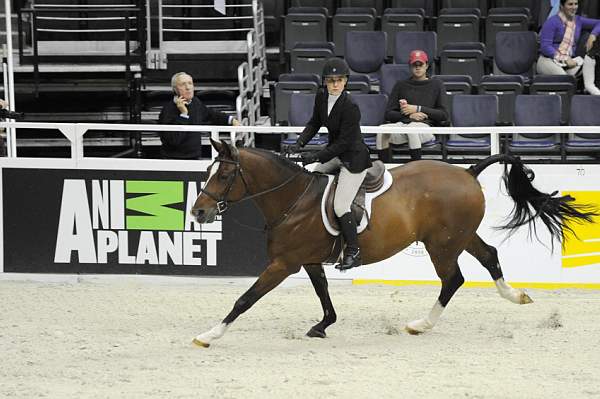 WIHS-10-21-09-DSC_2299-Sponsors-AnimalPlanet-DDeRosaPhoto.jpg