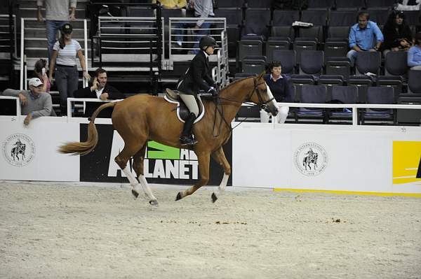WIHS-10-21-09-DSC_2374-Confidential-ErinStewart-AnimalPlanet-DDeRosaPhoto.jpg