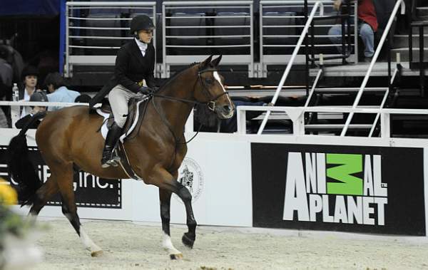 WIHS-10-21-09-DSC_2417-Cezanne-LillianHahn-Sponsors-AnimalPlanet-DDeRosaPhoto.jpg