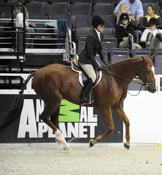 WIHS-10-22-09-DSC_4035-Epic-HayleyBarnhill-SmJrHtr15U-Sponsors-AnimalPlanet-DDeRosaPhoto.jpg