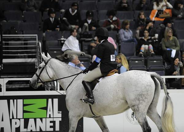 WIHS-10-23-09-DSC_7979-VidaBlue-JenniferWaxman-Sponsors-AnimalPlanet-DDeRosaPhoto.jpg