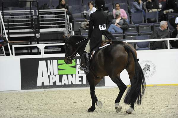 WIHS-10-23-09-DSC_8041-Sponsors-AnimalPlanet-DDeRosaPhoto.jpg