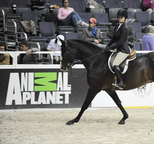 WIHS-10-23-09-DSC_8330-CommonSense-HayleyBarnhill-Sponsors-AnimalPlanet-DDeRosaPhoto.jpg
