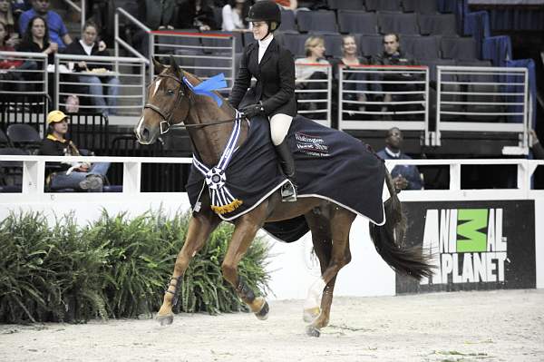 WIHS-10-24-09-DSC_0414-Travino-SamanthaSchaefer-Sponsors-AnimalPlanet-DDeRosaPhoto.jpg
