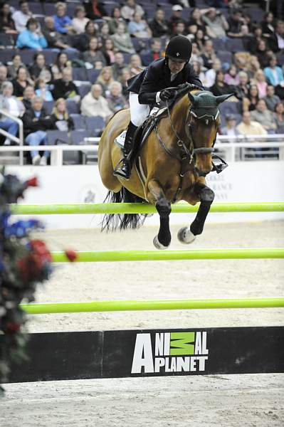WIHS-10-24-09-DSC_1027-Capitano-DanielleTorano-Sponsors-AnimalPlanet-DDeRosaPhoto.jpg