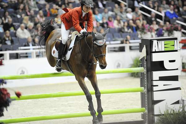 WIHS-10-24-09-DSC_1075-StreetofDiamonds-GeorginaBloomberg-Sponsors-AnimalPlanet-DDeRosaPhoto.jpg