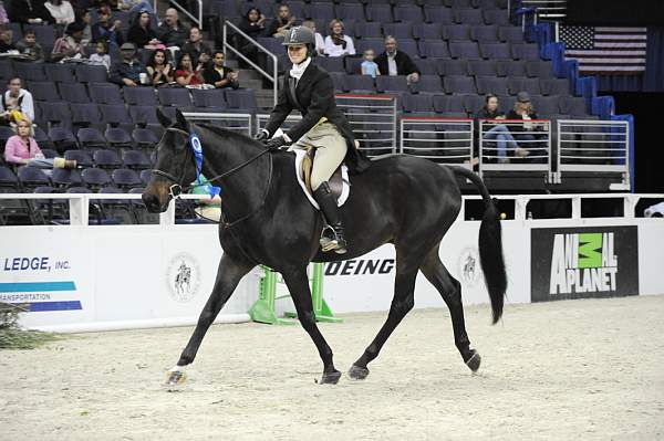 WIHS-10-25-09-LocalHtrHrs-DSC_2853-GranTurismo-AngeeQuattro-Kerns-Sponsors-AnimalPlanet-DDeRosaPhoto.jpg