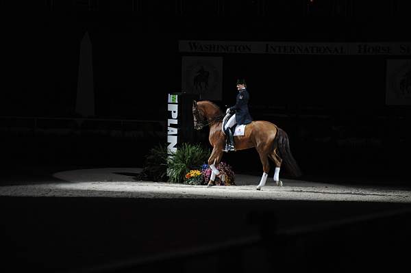 WIHS-19-23-09-DER_7355-AshleyHolzer-PopArt-Sponsors-AnimalPlanet-DDeRosaPhoto.jpg