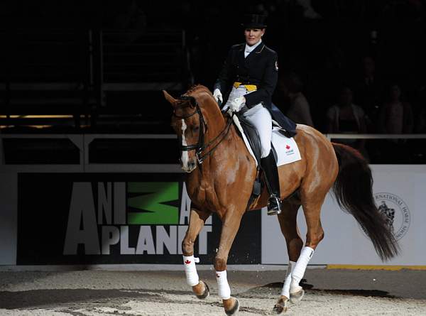 WIHS-19-23-09-DER_7389-AshleyHolzer-PopArt-Sponsors-AnimalPlanet-DDeRosaPhoto.jpg