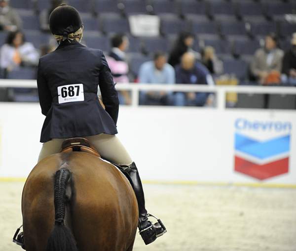 WIHS-10-20-09-DSC_0465-Accolade-DudleyMacFarlane-Sponsors-Chevron-DDeRosaPhoto.jpg