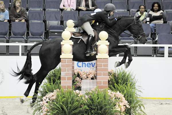 WIHS-10-21-09-DSC_2366-Zoom-LauraSexton-Sponsors-Chevron-DDeRosaPhoto.jpg
