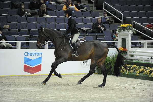 WIHS-10-23-10-WIHSJrEqHtr-DSC_8175-InPursuit-SamanthaSmith-Sponsors-Chevron-DDeRosaPhoto.jpg