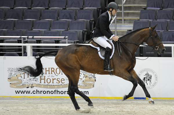 WIHS-10-21-09-DSC_1424-Rosalynn-HuntTosh-Sponsors-Chronicle-DDeRosaPhoto.jpg