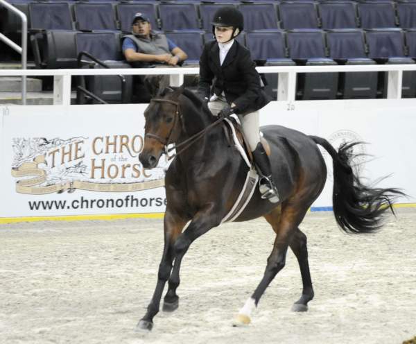 WIHS-10-22-09-DSC_4218-Capone-MadelineThatcher-SmJrHtr15U-Sponsors-Chronicle-DDeRosaPhoto.jpg
