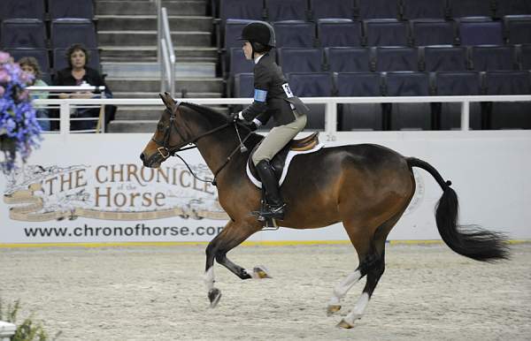 WIHS-10-25-09-MedPny-DSC_1824-PosterBoy-AshleyFoster-Ponies-Sponsors-Chronicle-DDeRosaPhoto.jpg