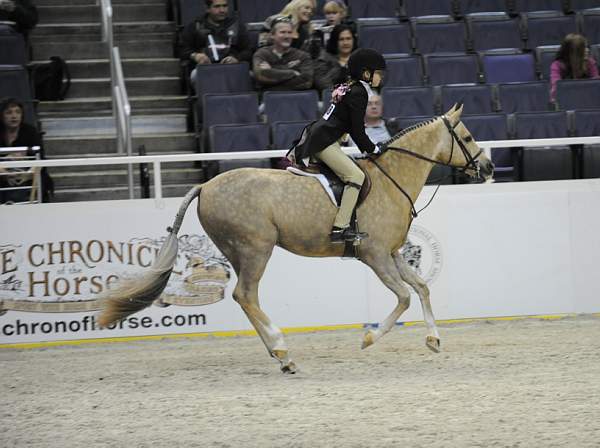 WIHS-10-25-10-MedPnyStke-DSC_2090-Promise-SophieMichaels-Sponsors-Chronicle-DDeRosaPhoto.jpg