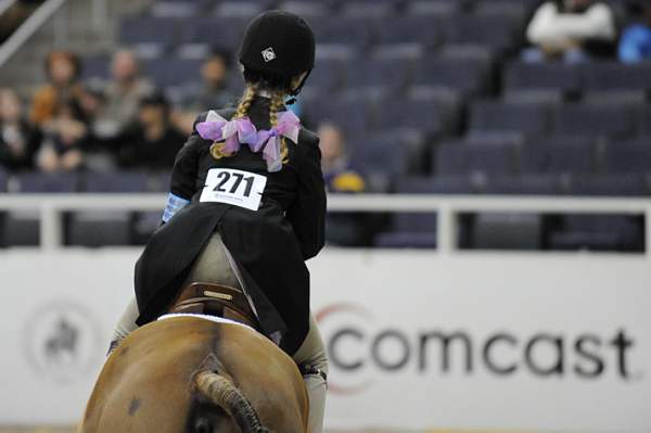 WIHS-10-25-09-LgPnyStke-DSC_2367-Braveheart-AllisonToffolon-Sponsors-Comcast-DDeRosaPhoto.jpg