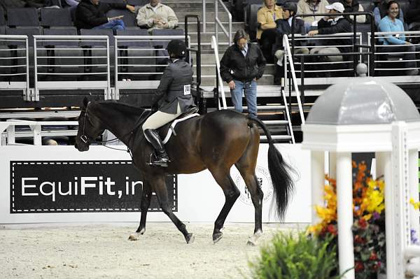 WIHS-10-20-09-DSC_0401-Costello-ShawJohnsonPrice-Sponsors-EquFit-DDeRosaPhoto.jpg