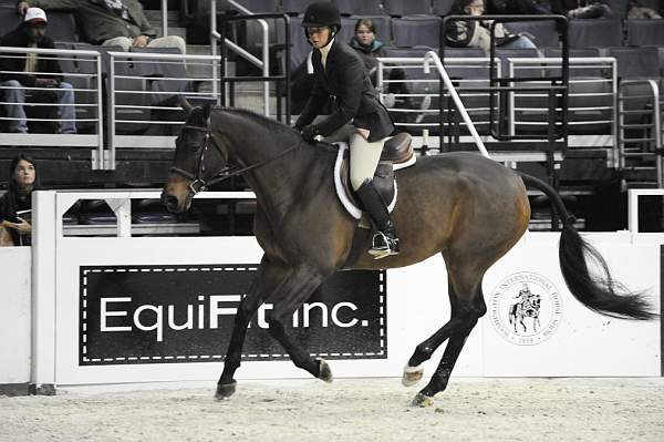 WIHS-10-20-09-DSC_9507-AllTheStars-SandyFerrell-Sponsors-EquFit-DDeRosaPhoto.jpg