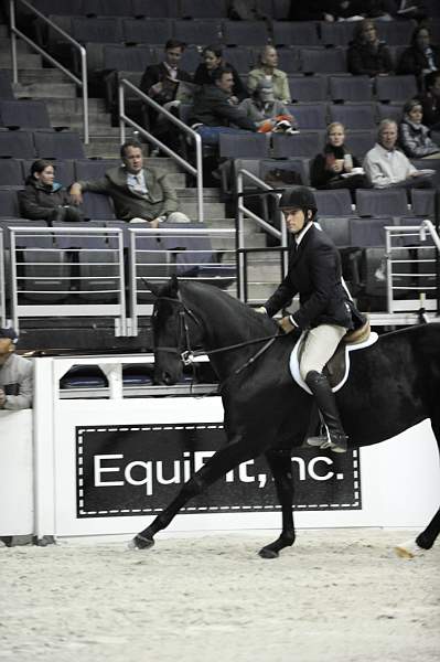 WIHS-10-20-09-DSC_9714-007-DanielGeitner-Sponsors-EquFit-DDeRosaPhoto.jpg