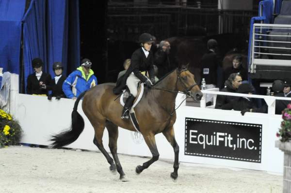 WIHS-10-21-09-DSC_1436-Starstruck-PegSeals-Sponsors-EquiFit-DDeRosaPhoto.jpg