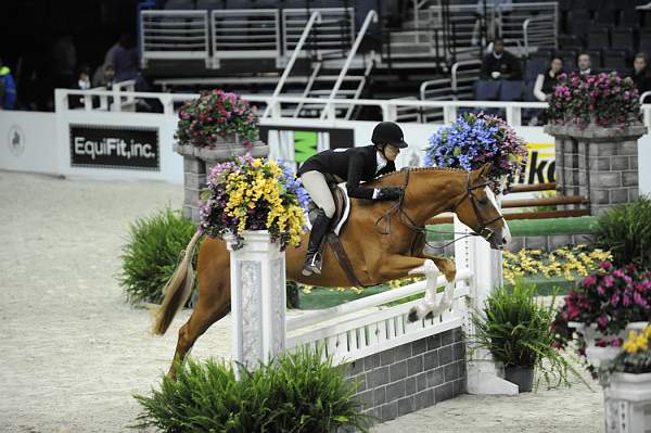 WIHS-10-21-09-DSC_1555-Costar-ShelleyCampf-Sponsors-EquiFit-DDeRosaPhoto.jpg