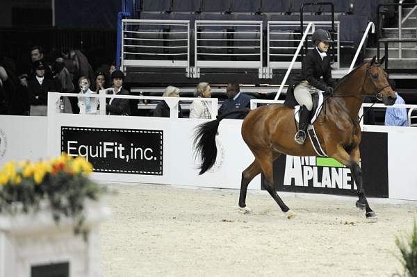 WIHS-10-21-09-DSC_2436-Saline-StephanieRiggio-Sponsors-EquiFit-DDeRosaPhoto.jpg