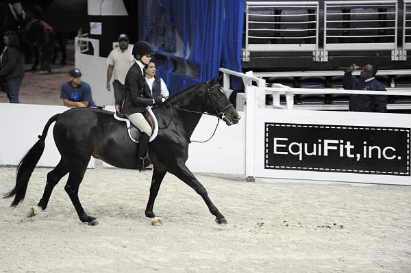WIHS-10-22-09-DSC_4233-ScoiallySpeaking-AdeleNorton-SmJrHtr15U-Sponsors-EquFit-DDeRosaPhoto.jpg