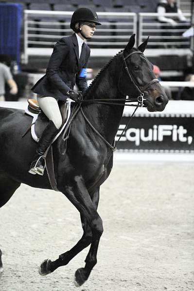WIHS-10-23-09-DSC_8398-Apartico-AbigailMcArdle-Sponsors-EquiFit-DDeRosaPhoto.jpg