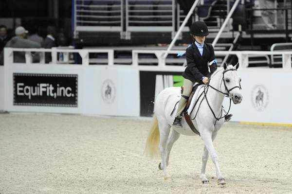 WIHS-10-24-09-DER_7845-CardiffMardiGras-SabrinaSlagowitz-Sponsors-EquiFit-DDeRosaPhoto.jpg