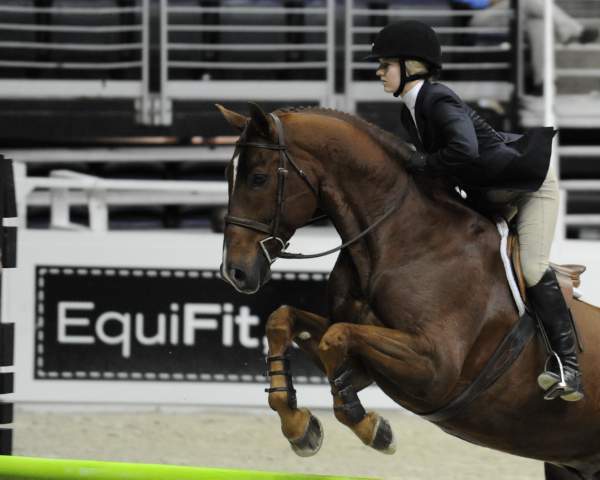 WIHS-10-24-09-DSC_0287-Sponsors-EquiFit-DDeRosaPhoto.jpg