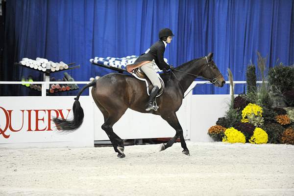 WIHS-10-20-09-DSC_0741-Sponsors-Equiery-DDeRosaPhoto.jpg