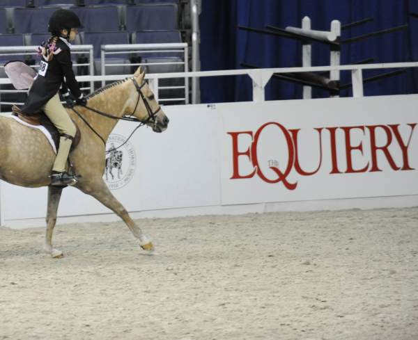 WIHS-10-24-10-Cl250HtrDrby-DER_8396-Jerseyboy-JenniferAlfano-Sponsors-Equiery-DDeRosaPhoto-crop.jpg