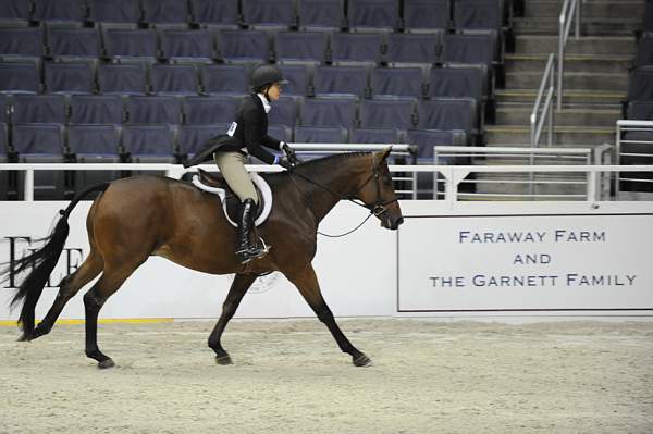WIHS-10-21-09-DSC_1516-TurtleBay-WinnAlden-Sponsors-FarawayFarm-DDeRosaPhoto.jpg