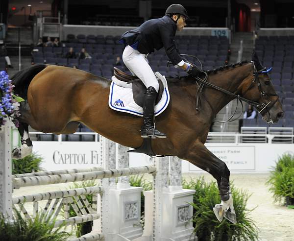 WIHS-10-21-09-DSC_3618-AdultJprCh-PalermoPark-AhmedAlali-Sponsors-FarawayFarm-DDeRosaPhoto.jpg